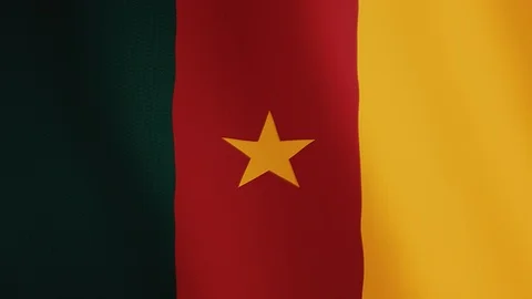Cameroon flag waving animation. Full Screen. Symbol of the country. Stock Footage 89548702