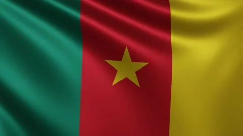 Cameroon flag waving close-up in the wind, video of the national flag of Stock Footage 219557469