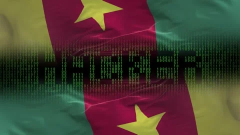 Cameroon flag - Waving flag on matrix binary code background Stock Footage 321419750