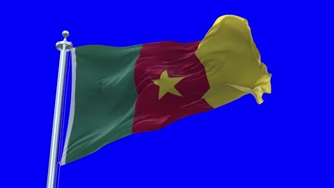 Cameroon Flag Waving in Loopable and Textured green screen background Stock Footage 296876518
