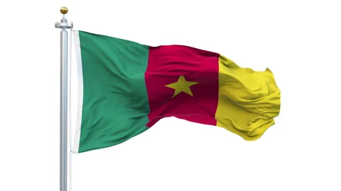 Cameroon flag waving looping with transparent background. Stockbeeldmateriaal 311700120