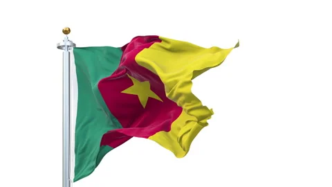 Cameroon flag waving looping with transparent background. Video stock 311700150