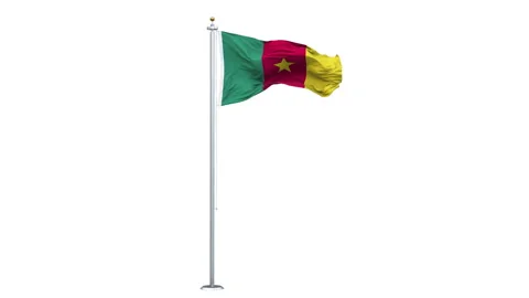 Cameroon flag waving looping with transparent background. Video stock 311700246