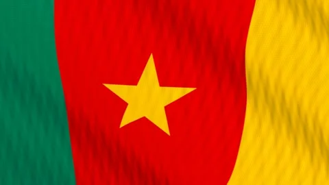 Cameroon flag waving white background loop Stock Footage 342958415