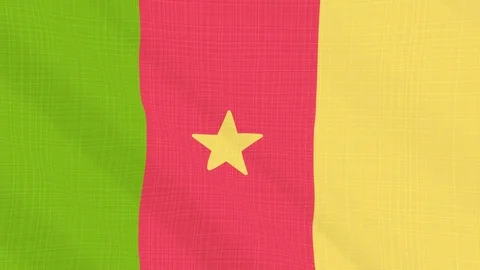 Cameroon flag waving in the wind. Background with rough textile texture Stock Footage 83837221