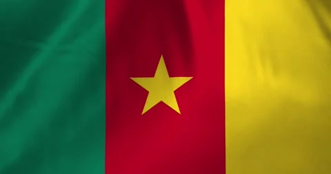 Cameroon flag waving with the wind background loop video animation Stockbeeldmateriaal 327171755