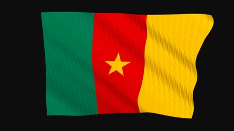 Cameroon flag waving in the wind on a black background Stock-Footage 343208468
