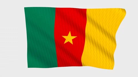 Cameroon flag waving in the wind on a grey background Stock Footage 343216090