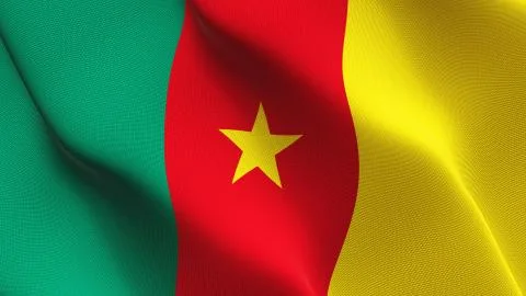 Cameroon flag waving on wind. Stock-Illustration