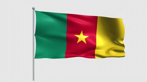 Cameroon Flags - Pack 1 Stock Footage 339293885