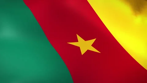 Cameroon Flags - Pack 2 Stock Footage 339293644