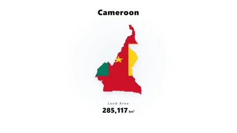 Cameroon map silhouette filled with national flag red green and yellow colors Stock Footage 345642687