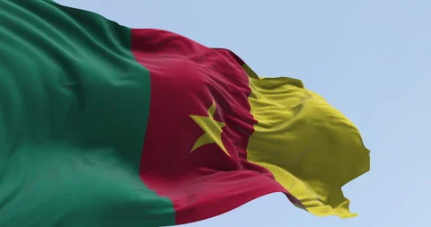 Cameroon national flag waving in the wind Stock Footage 341630967
