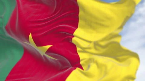 Cameroon national flag waving in the wind Stock Footage 346217145