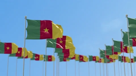 Cameroon Row Of Flags 3D Animation Video stock 148639938