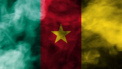 Cameroon smoke waving flag Stock Footage 98281801