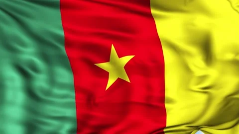 Cameroon Waving Flag Background 스톡 동영상 204136161