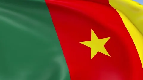 Cameroon Waving Flag Background Loop Stock Footage 317844349