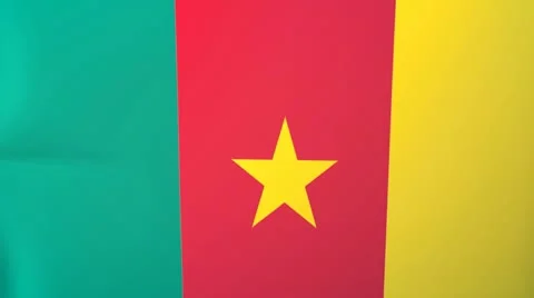 Cameroon Waving Flag Stock Footage 10761664