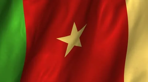 Cameroon Waving Flag Video stock 12246867