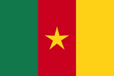 Cameroon waving flag pattern background. Realistic national flag design. Ab.. 스톡 일러스트