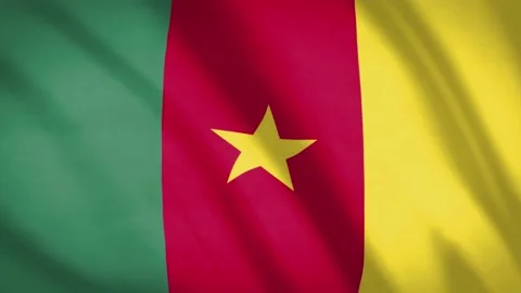 Camerun Flag Stock Footage 188254403