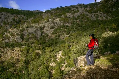 Cami des Cairats. Puig des Teix. Valldemossa.Sierra de Tramuntana.Mallorca.Ba Stock Photos