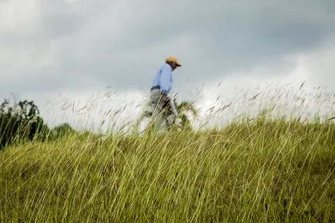 CAMINANTE Stock Photos