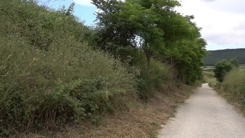 Camino de Santiago through Navarre Stock Footage 92841353