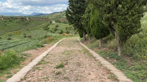 Camino Stock Footage 283918049