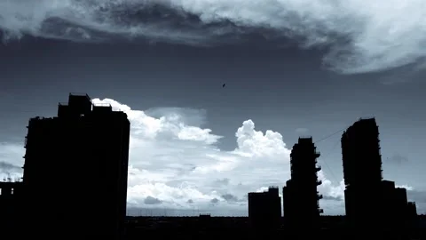 Camisado Stock Footage 136479131