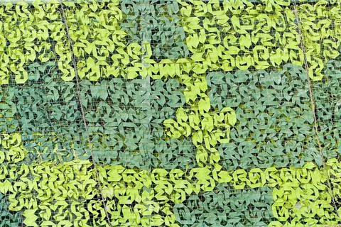 Camo netting background Stock Photos