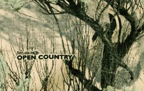 Camoflauge pattern 스톡 사진