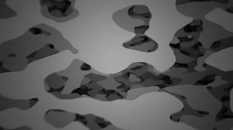 Camofly1 gray Stock Footage 186664