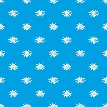 Camomile flower pattern vector seamless blue 스톡 일러스트
