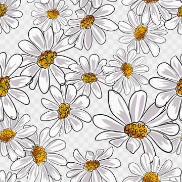 Camomile flowers seamless pattern vector illustration eps 10. Stock Illustration
