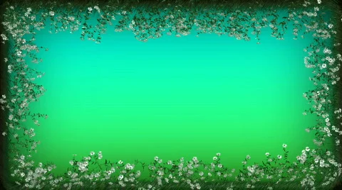 Camomile frame Stock Footage 277842