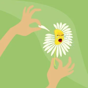 Camomile Stock Illustration