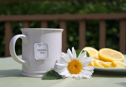 Camomile tea Stock Photos