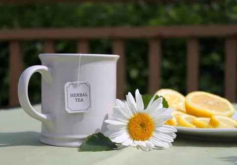 Camomile tea Stock Photos