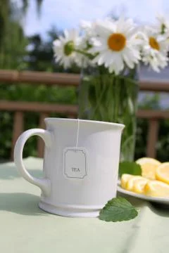 Camomile tea Stock Photos