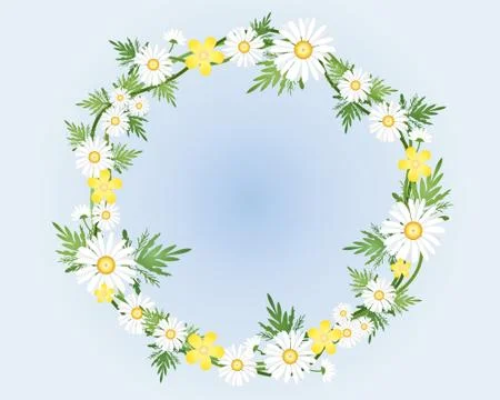 Camomile wreath Illustrazione stock