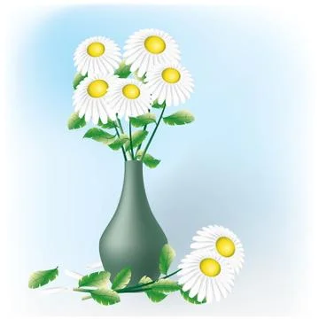 Camomiles bouquet. Stock Illustration