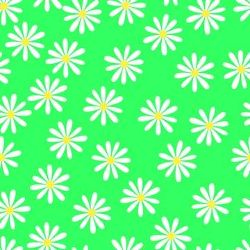 Camomiles Illustrazione stock