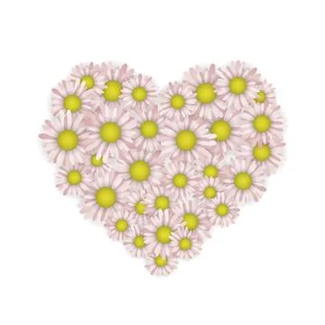 Camomiles in the shape of a heart. Stock Illustration