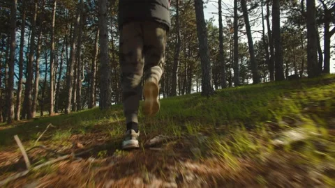 Camouflage clad runner back view during a morning jog through a serene woodland. Stock Footage 288673897