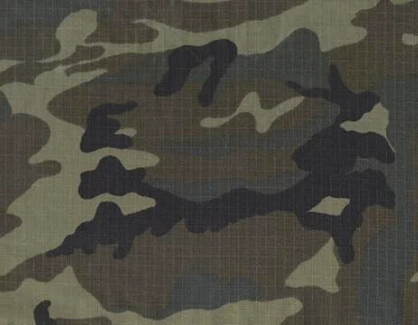 Camouflage classic pattern Stock Photos