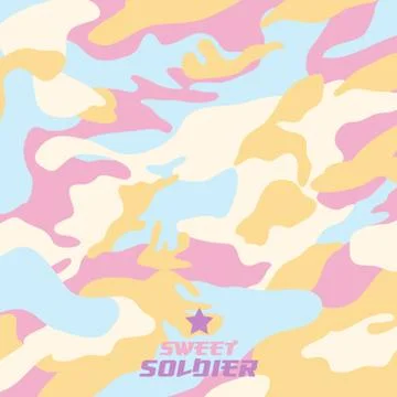 Camouflage fabric pattern shape Stock Illustration