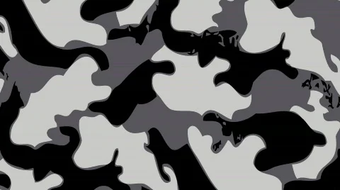Camouflage Stock Footage 303590