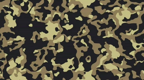 Camouflage Video stock 352801